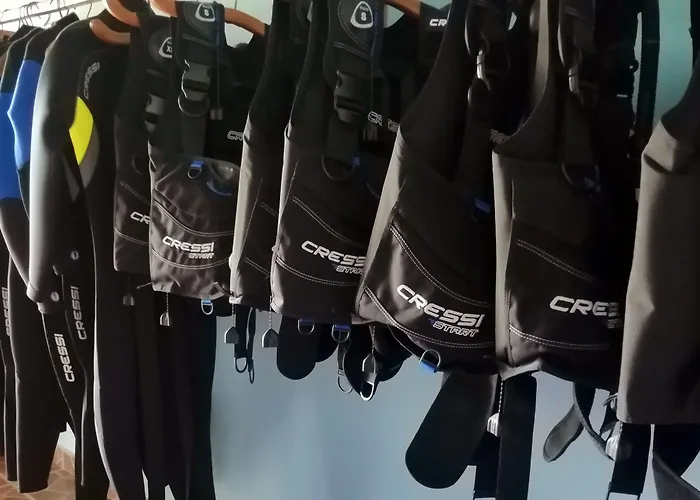 招待所 Ocean Dive -